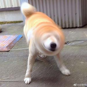 超清首页国产亚洲丝袜
