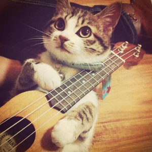 超清首页国产亚洲丝袜
